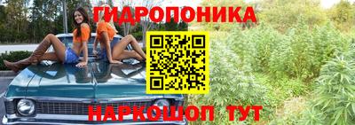 гидропоника Абинск