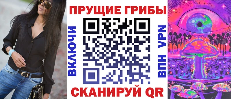 где продают   Александров  Галлюциногенные грибы ЛСД 