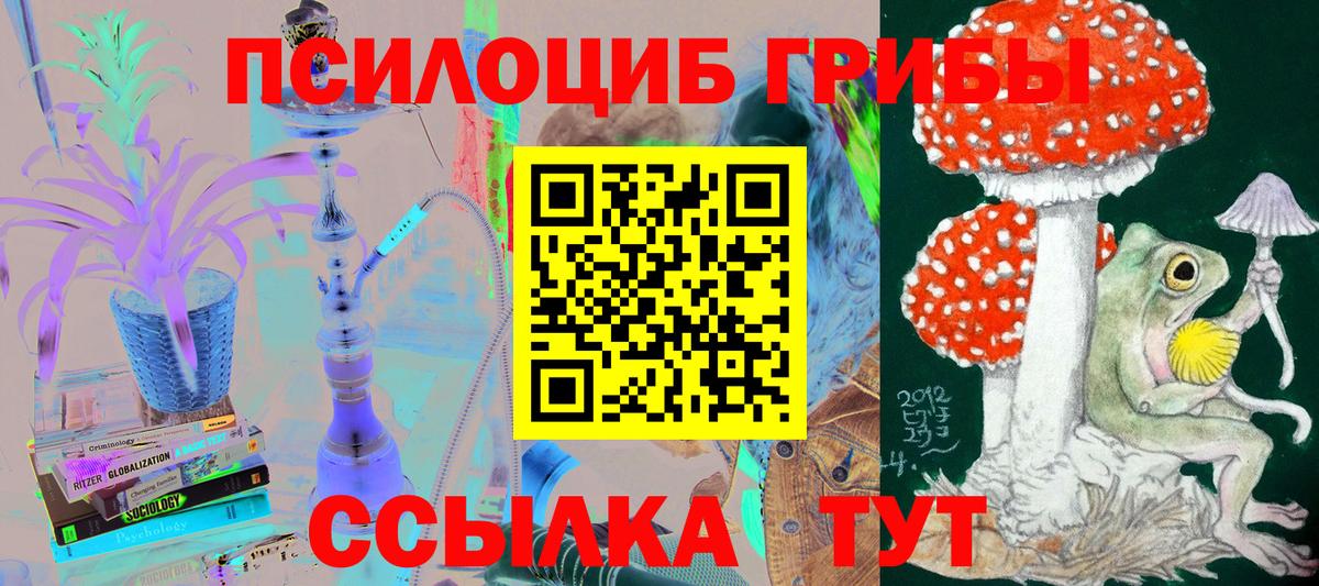 Галлюциногенные грибы ЛСД  Александров  Галлюциногенные грибы GOLDEN TEACHER 