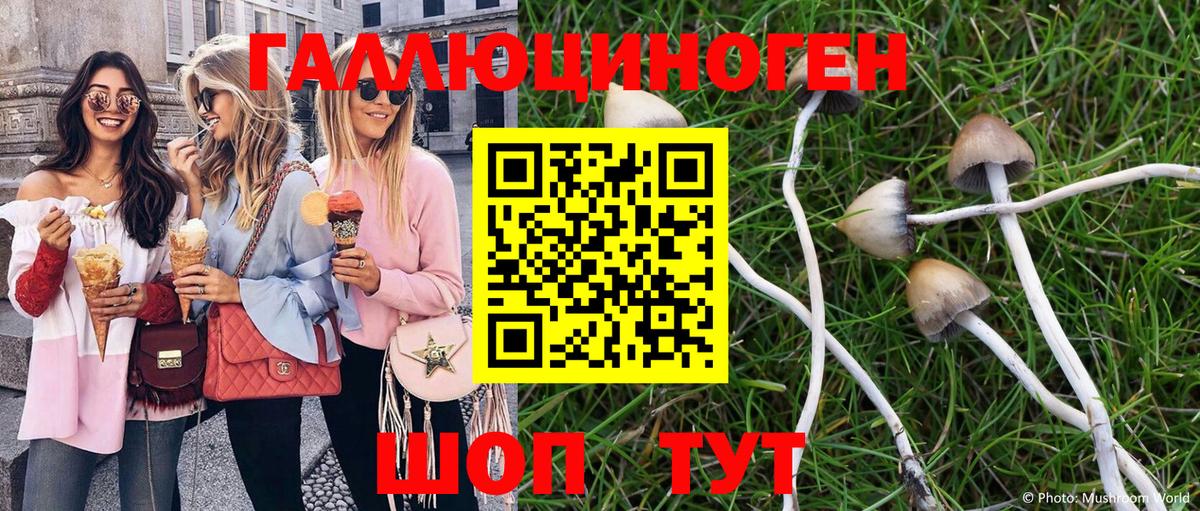 Псилоцибиновые грибы мицелий Александров