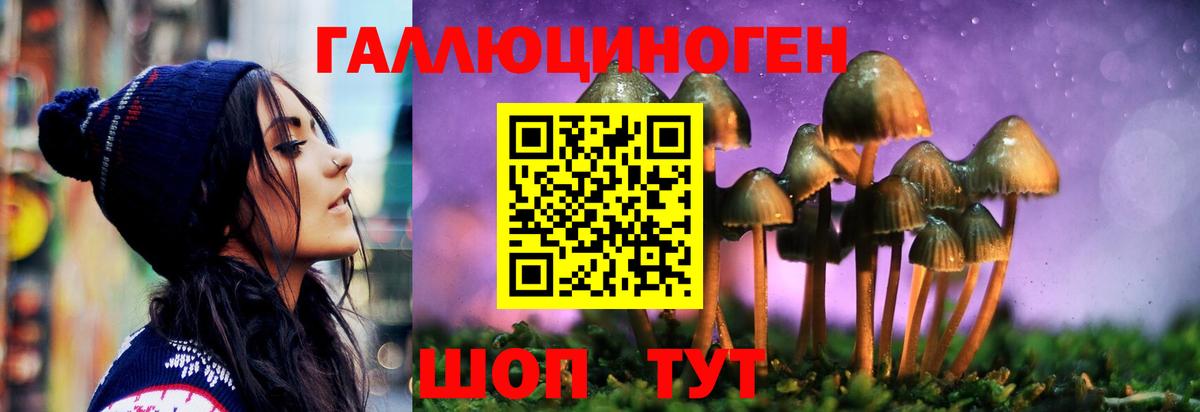Александров  Псилоцибиновые грибы GOLDEN TEACHER  Вход с VPN 